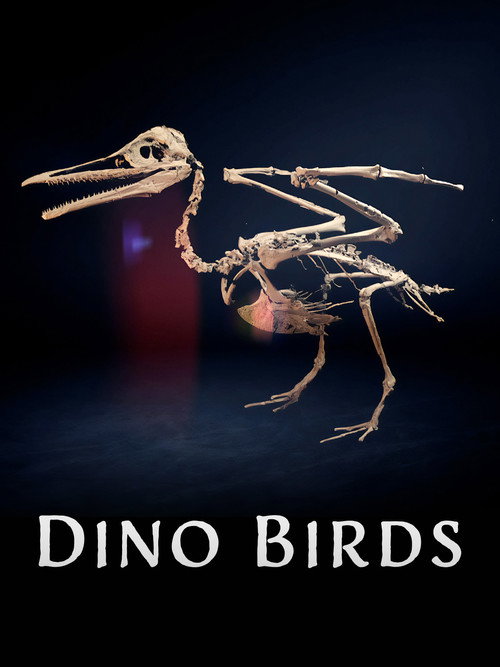 Dino Birds official trailer poster