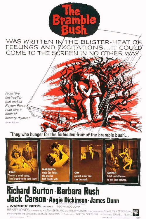 The Bramble Bush official trailer poster