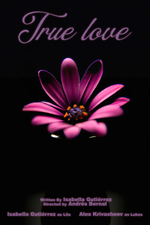 True Love official trailer poster