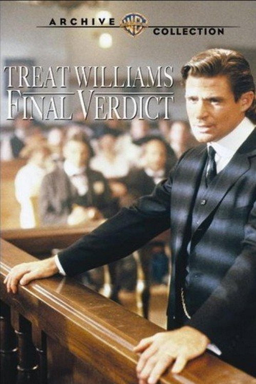 Final Verdict official trailer poster