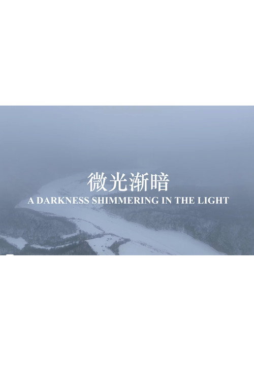 A Darkness Shimmering in the Light official trailer poster