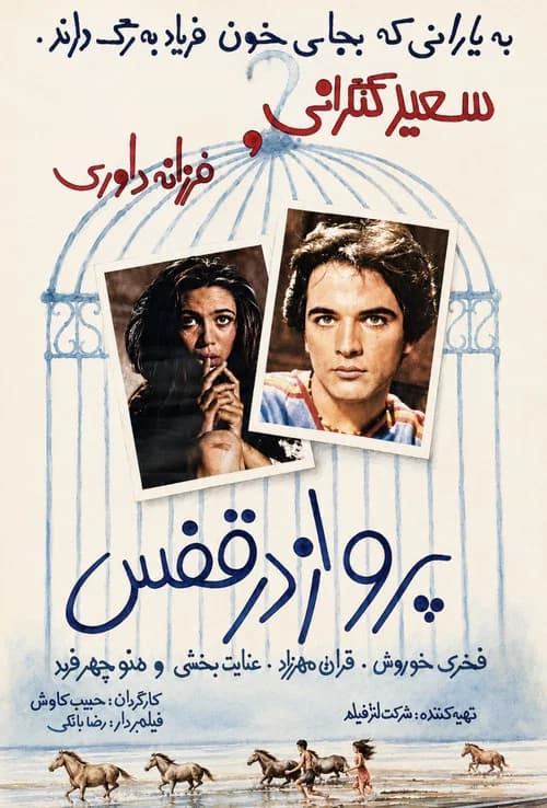 Flying in a Cage official trailer poster