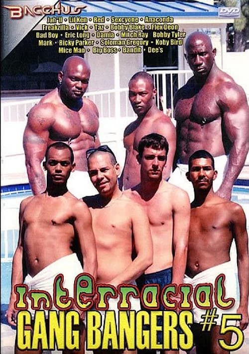Interracial Gang Bangers 5 official trailer poster