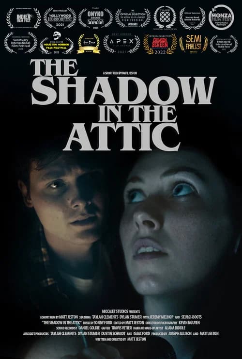 The Shadow in the Attic official trailer poster