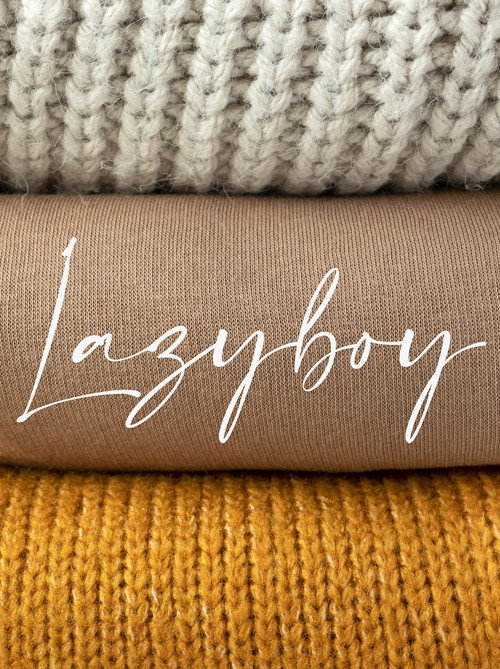 Lazyboy official trailer poster