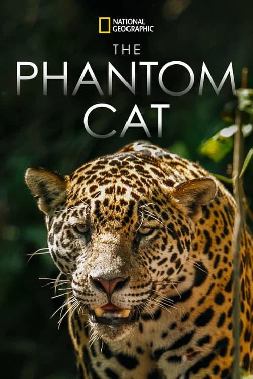 The Phantom Cat: Jaguar official trailer poster