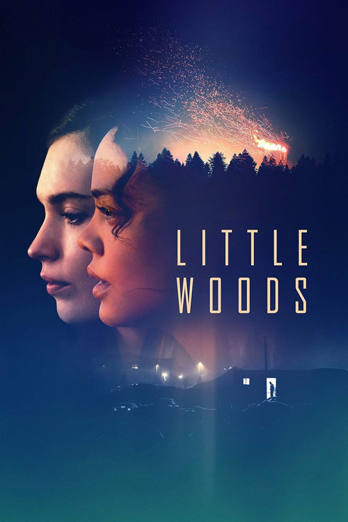 Little Woods official trailer poster