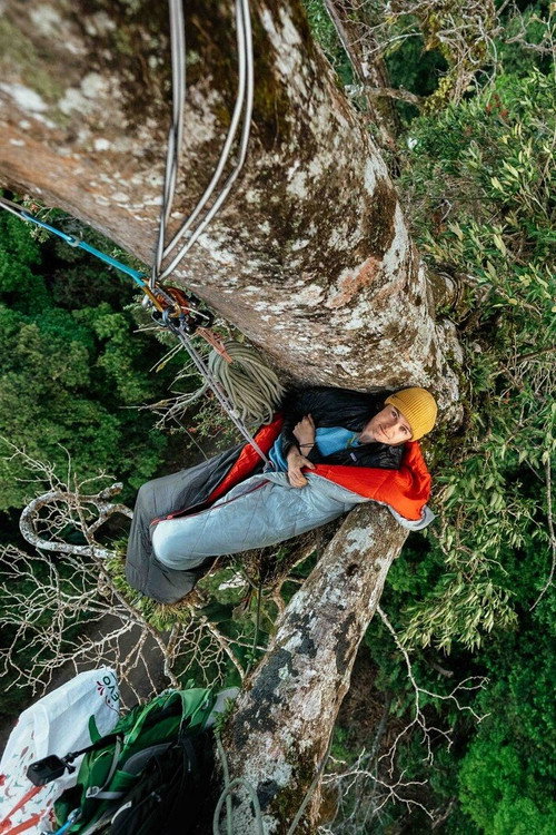 Canopy Climbers official trailer poster