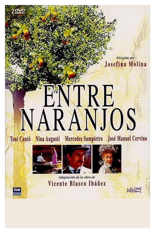 Entre naranjos official trailer poster