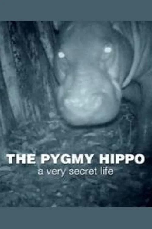 The Pygmy Hippo: A Very Secret Life official trailer poster