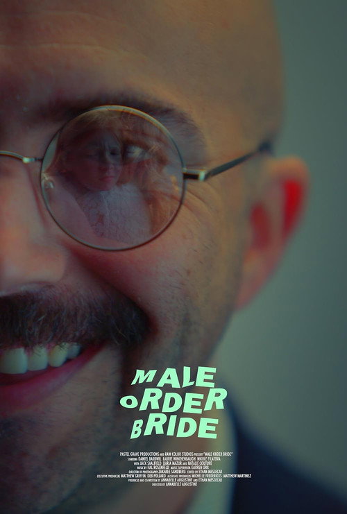 Male Order Bride official trailer poster