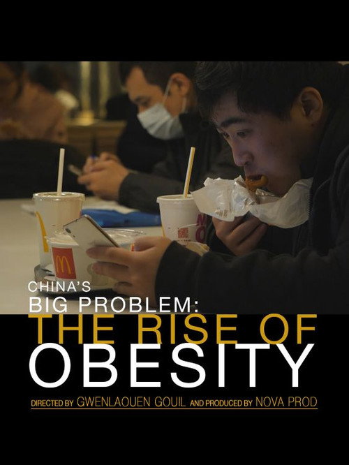 China's Big Problem: The Rise of Obesity official trailer poster