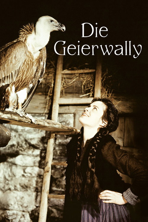 Wally of the Vultures official trailer poster