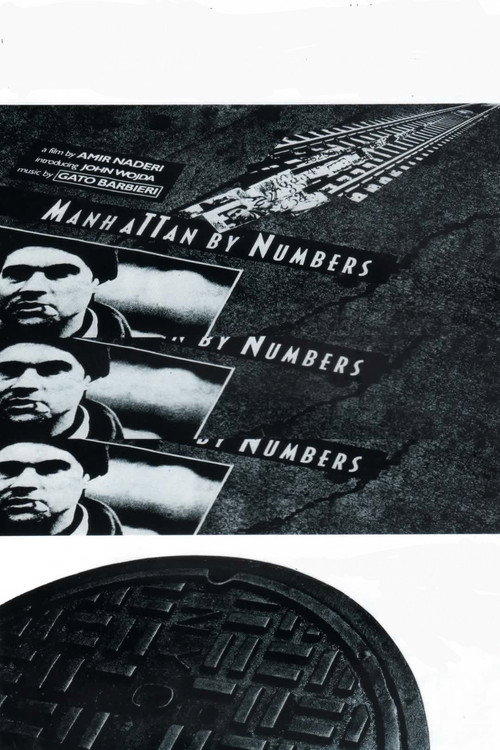 Manhattan by Numbers official trailer poster