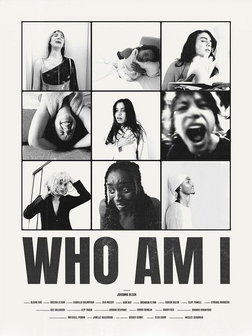 Who Am I? official trailer poster