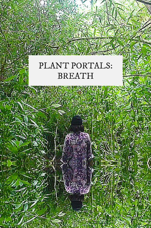 plant portals: breath official trailer poster