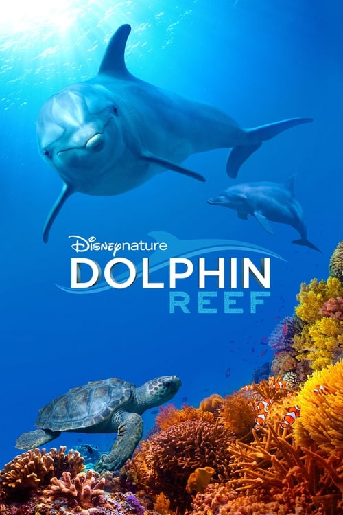 Dolphin Reef official trailer poster