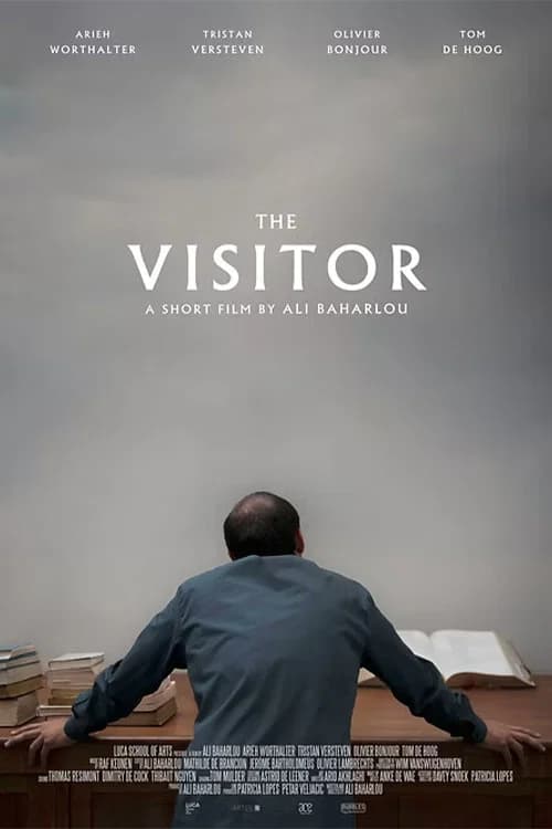 The Visitor official trailer poster