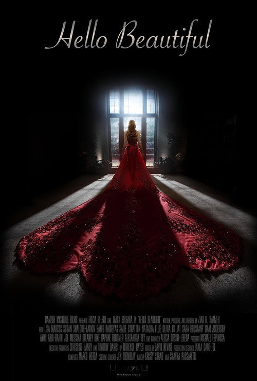 Hello Beautiful official trailer poster