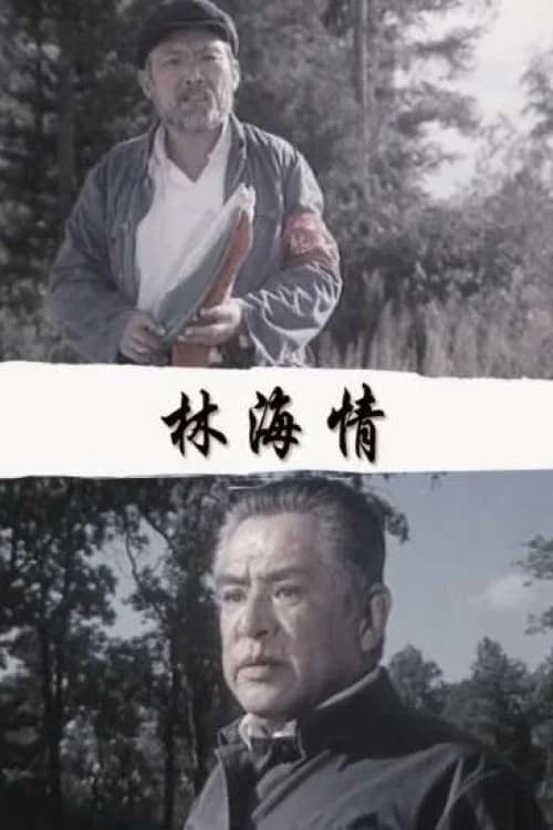 林海情 official trailer poster