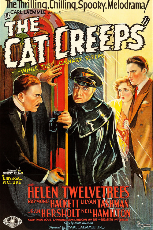 The Cat Creeps official trailer poster