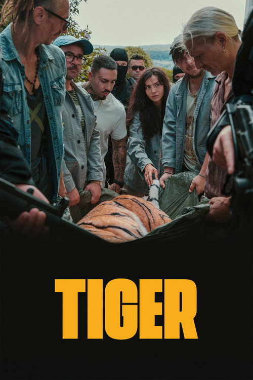 Day of the Tiger official trailer poster