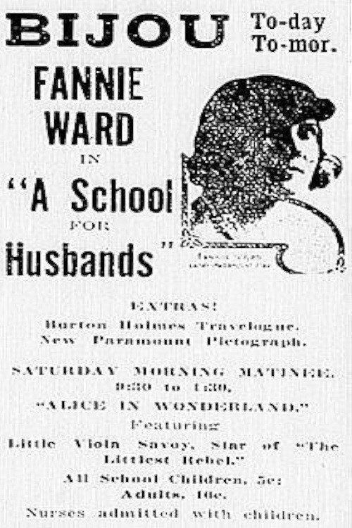 A School for Husbands official trailer poster