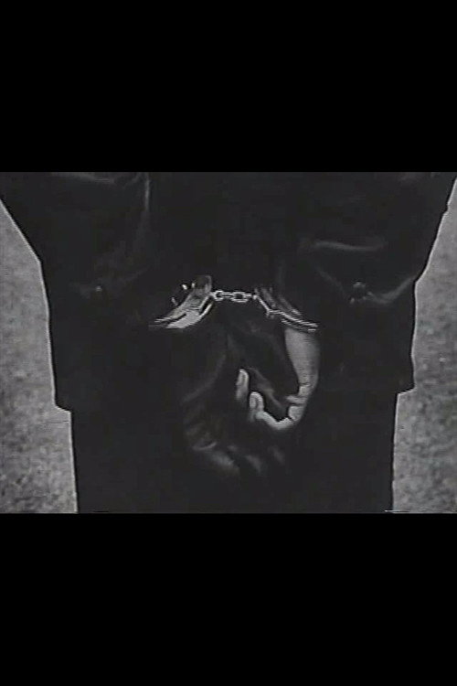 Repression official trailer poster