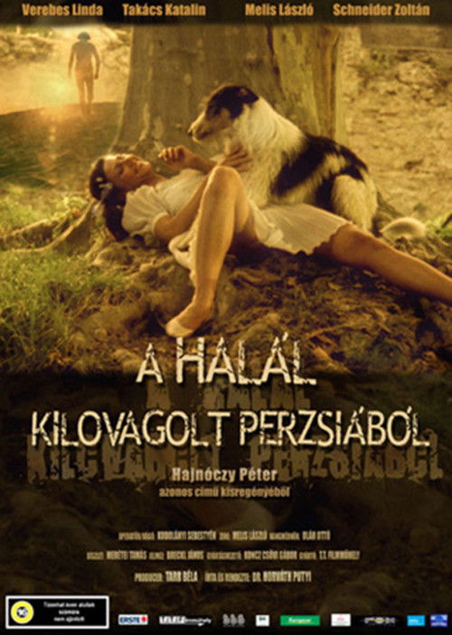 Death Rode out of Persia official trailer poster