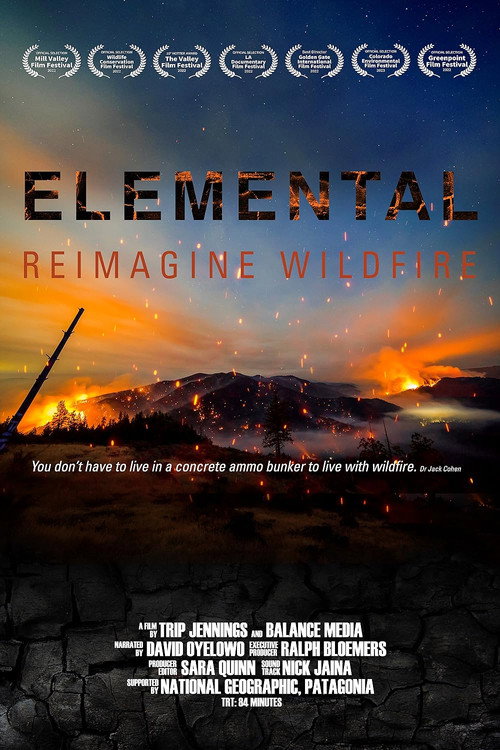 Elemental: Reimagine Wildfire official trailer poster