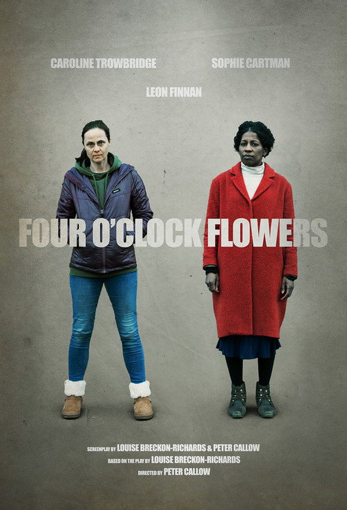 Four O'Clock Flowers official trailer poster
