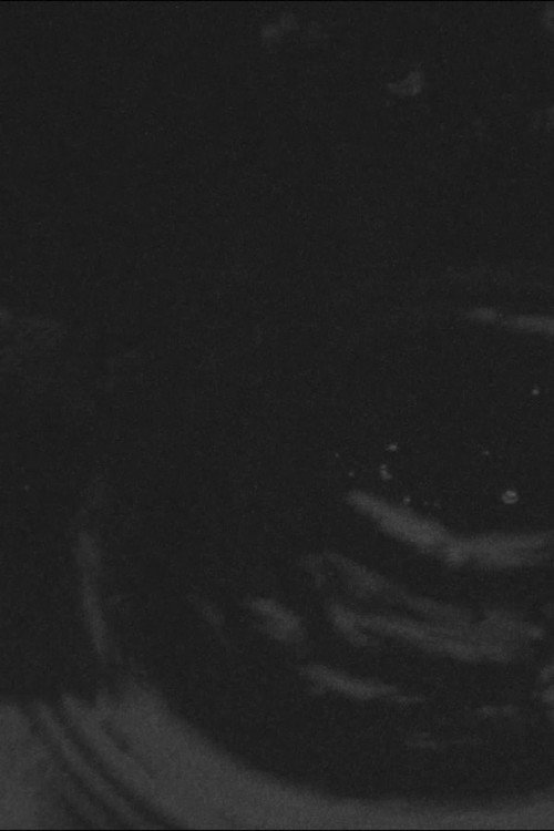 Avantgarde Puddle official trailer poster