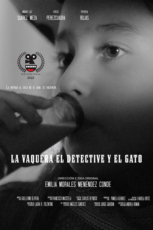 The Cowgirl, The Detective and The Cat official trailer poster