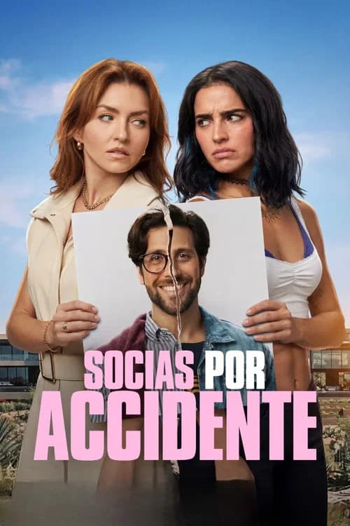 Accidental Partners official trailer poster