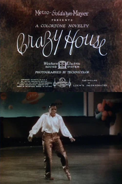 Crazy House official trailer poster