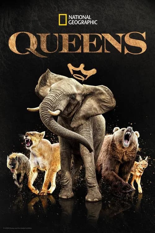Queens official trailer poster