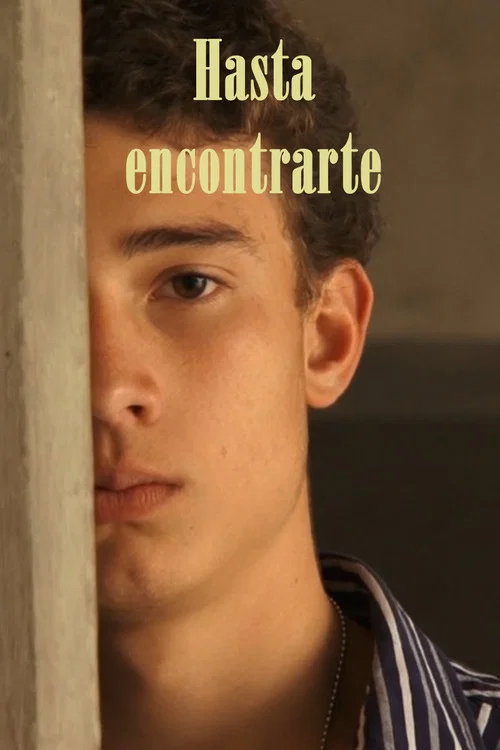 Hasta encontrarte official trailer poster