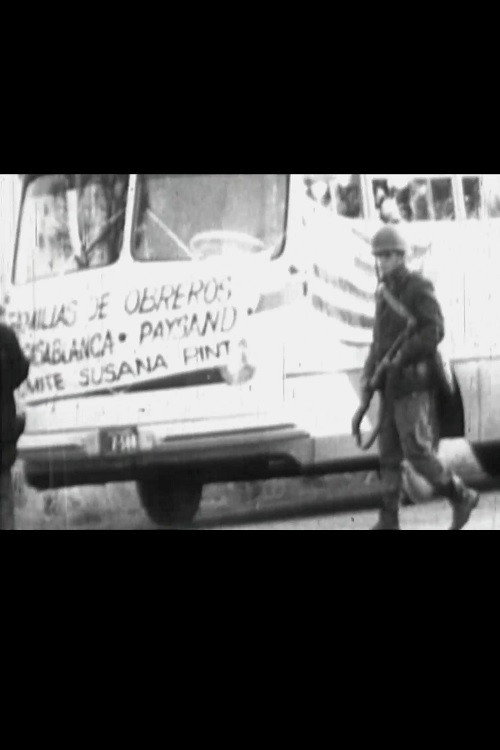 Uruguay 1969: El Problema de la Carne official trailer poster