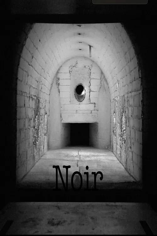 Noir official trailer poster