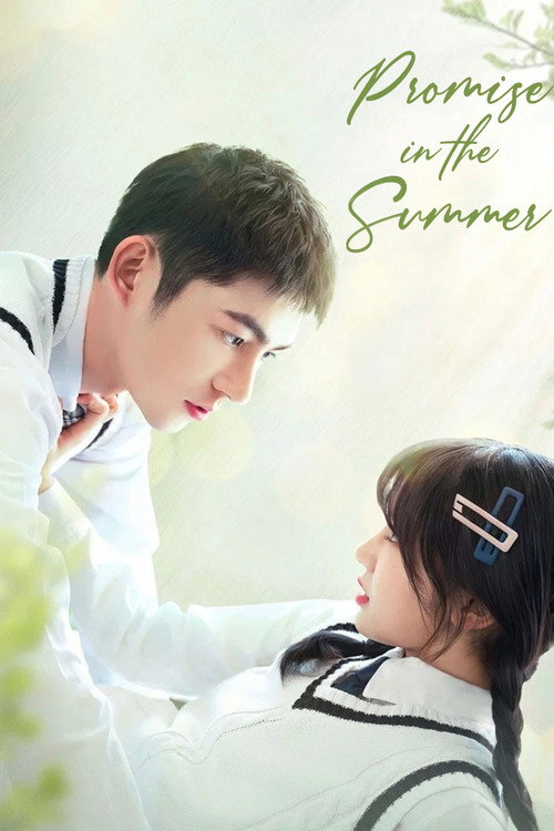 Promise in the Summer official trailer poster