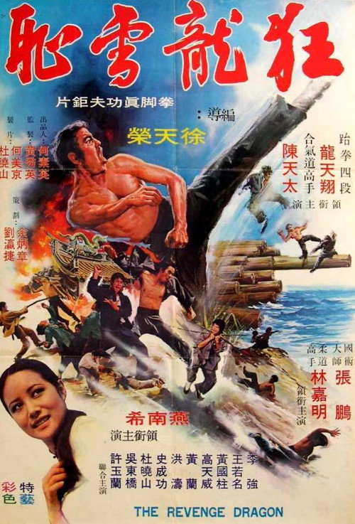 Dragon Force Operation official trailer poster