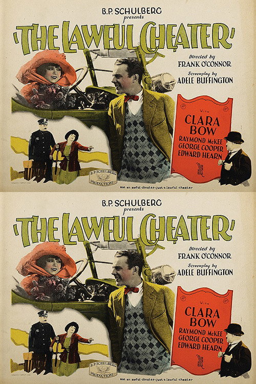 The Lawful Cheater official trailer poster
