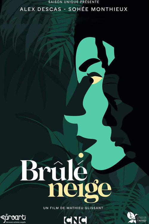 Brûlé neige official trailer poster