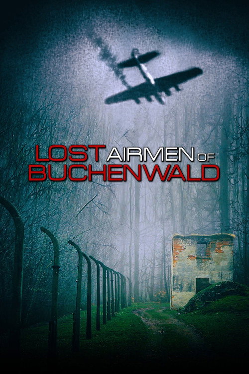 Lost Airmen of Buchenwald official trailer poster