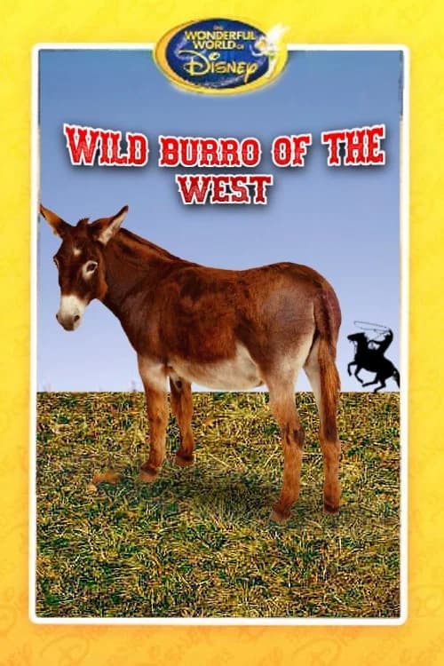 Wild Burro of the West official trailer poster