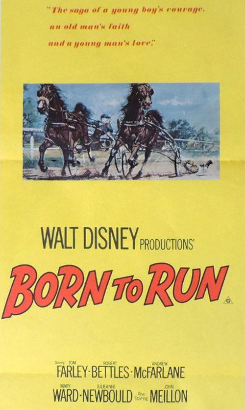 Born to Run official trailer poster