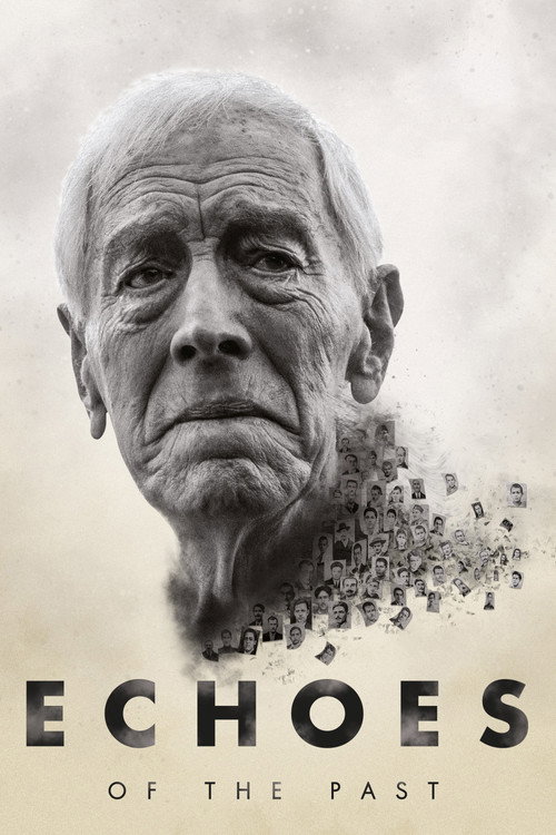 Echoes of the Past official trailer poster