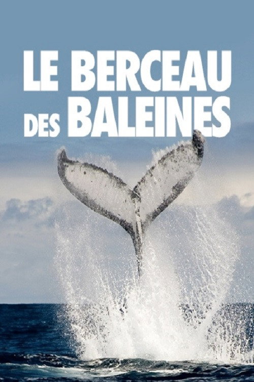 The Cradle of Whales official trailer poster