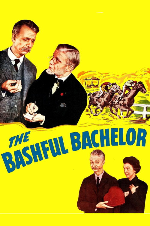 The Bashful Bachelor official trailer poster
