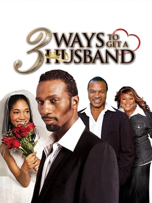 3 Ways to Get a Husband official trailer poster
